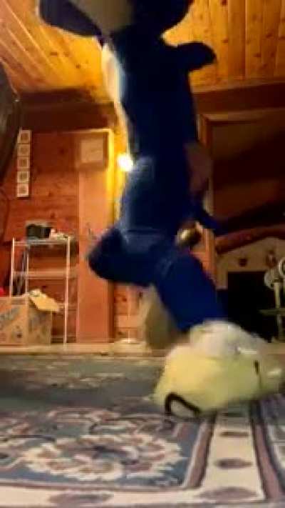 blursed_sanic