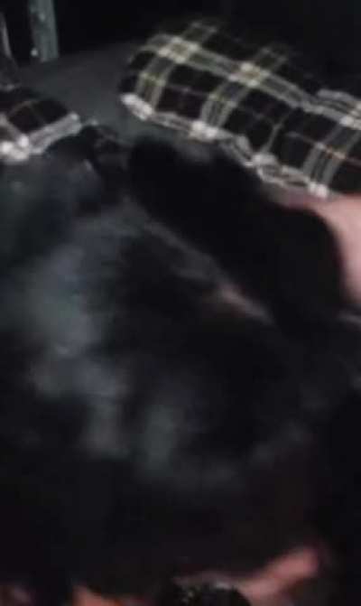 Making Memories