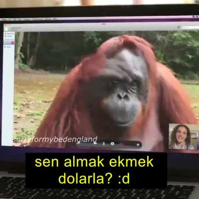 &Uuml;lke gitmek daha iyiye kıskanmak Amerika bizi