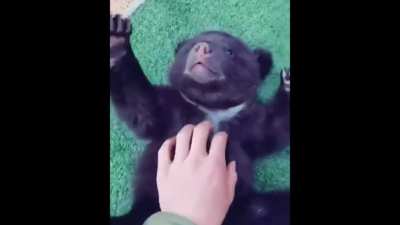 iNhUmAn MoNsTeR dIsEmBoWeLs SwEeT bEaR cUb!