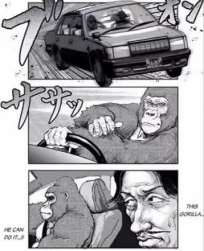 Monkey drift