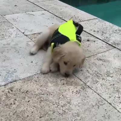 I fly. I floop.
