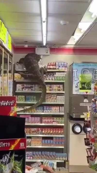 Just your normal day in a Thai 7-Eleven.&rsquo;