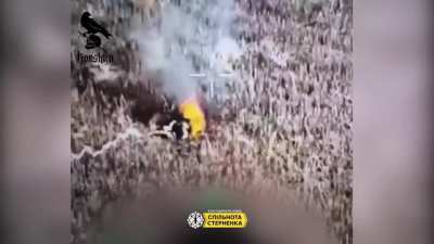 Ukrainian drone operators from the "Korshun Team" SSO unit eliminate Russians using FPV drones. Published 20/10/2025.