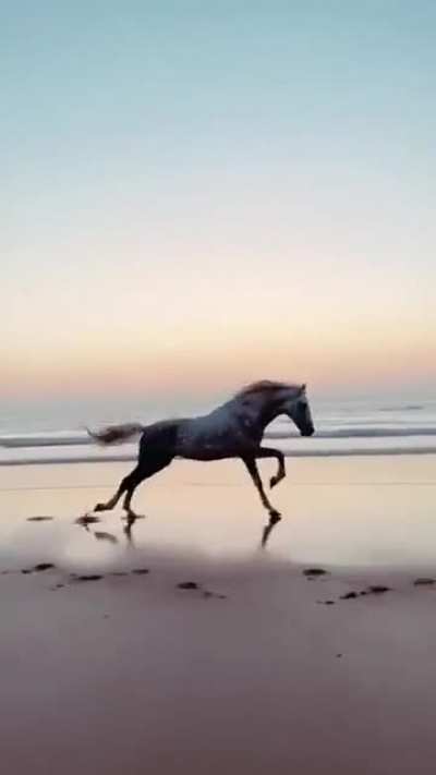 So much horsepower.