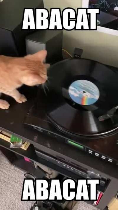 ABACAT
