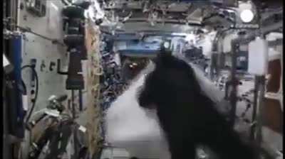 MONKEY IN SPACE 