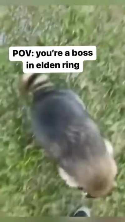 Never let them know your next move