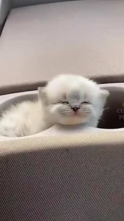 So cuteee