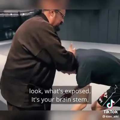 Steven Seagal &mdash; the aikido goat 😂