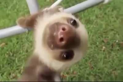 Aaaaa!