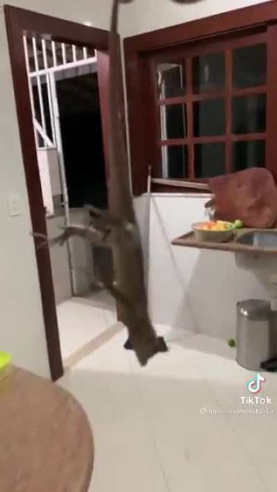 A mira dessa menina &eacute; boa demais