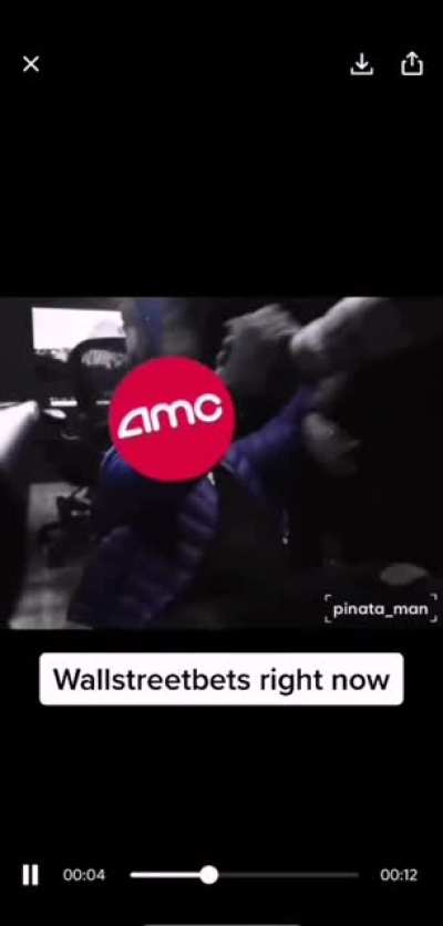 R/wallstreetbets be like..