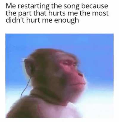 me_irl