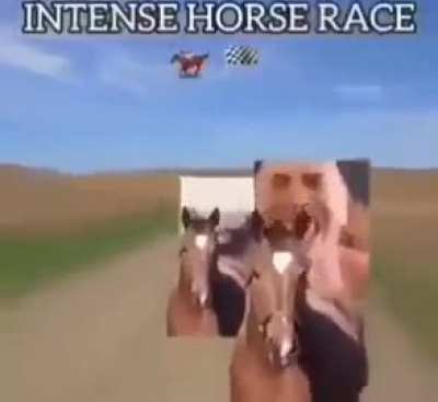 XD