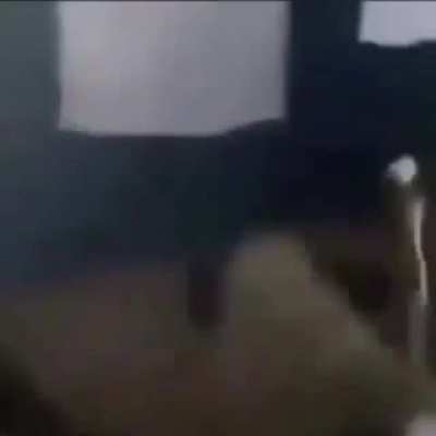 Funny Sleep.exe