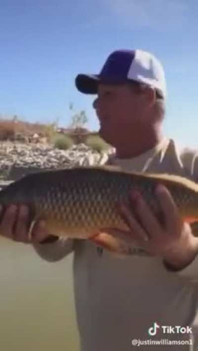 Issa carp