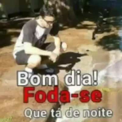 Bom Dia s&oacute; para os bois 😎👍