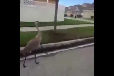 khjgf kjhg