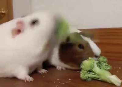 bonk