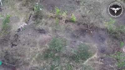 Russian sniper equipped with an SVD + PSO-1 is taken out with a direct FPV drone hit. Video by the Strike Drone Company (47 OMBr).
