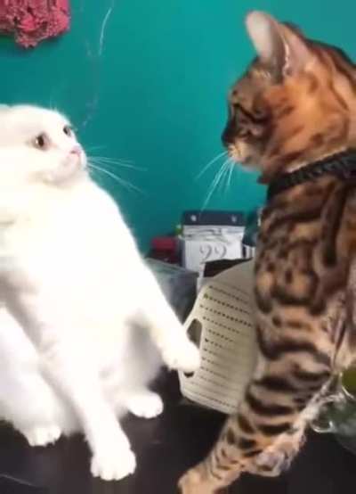 The face of regret.