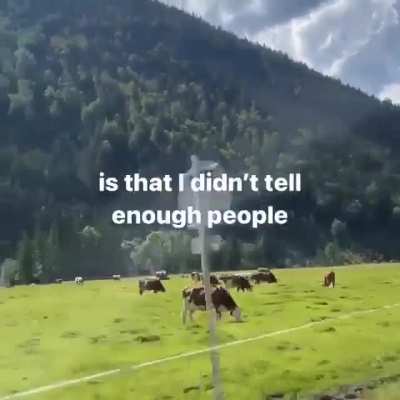 me_irl
