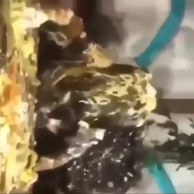 Blursed birthday