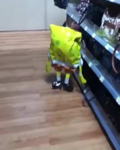 Spingboob shoping bruh