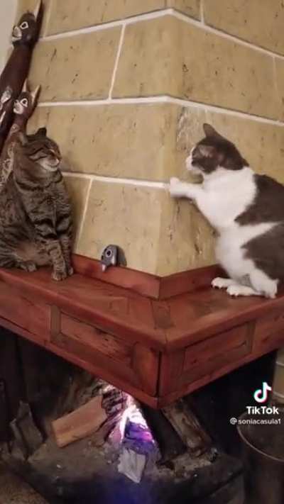 А я что? Я ничего!