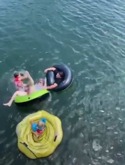 Look before you leap...