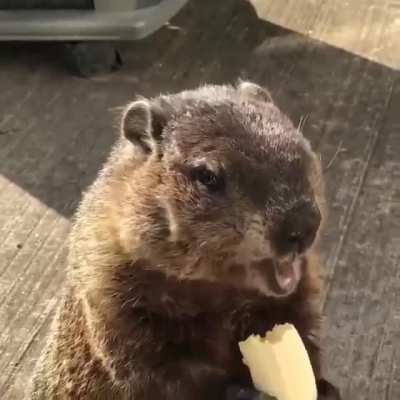 Хороший аппетит