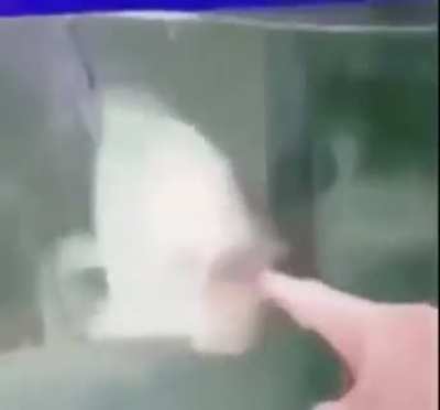 W&Aring;&Aring;&Aring;&Aring;&Aring;&Aring;&Aring;