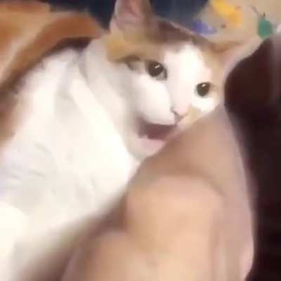 if you bite slow, they won&rsquo;t see it coming