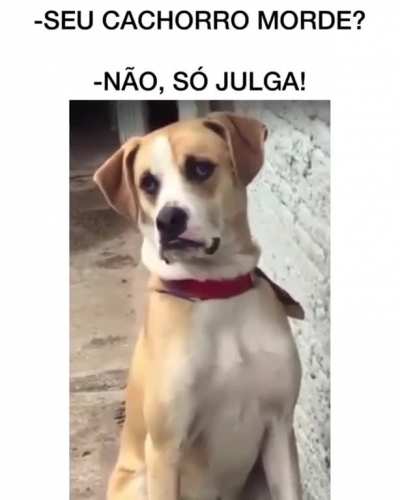 Quando algu&eacute;m fala que n&atilde;o tem medo de pegar Covid
