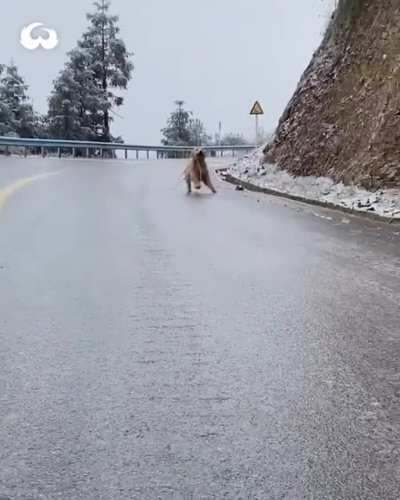 Doggo slide