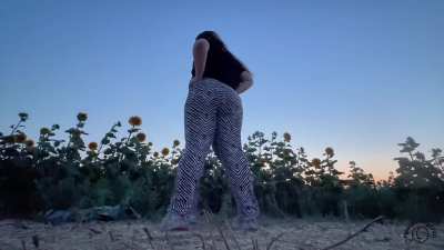 Farting freely in a sunflower field at sunrise&mdash;nature&rsquo;s never smelled this filthy 🌻💨👃🌅