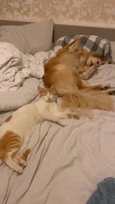 Hitting the snooze button