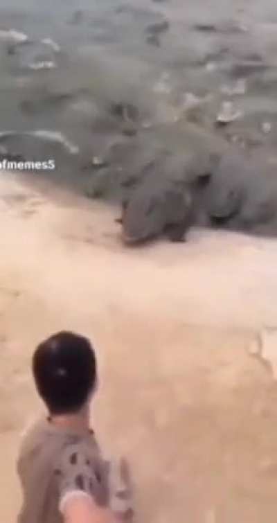 AHHHHHH