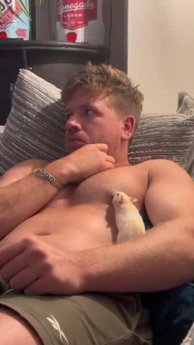 gay🐁irl