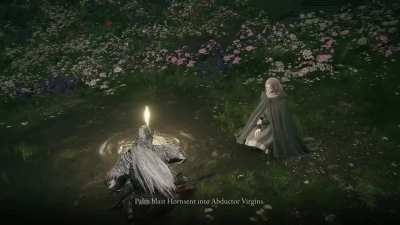 Shadow of Erdtree Cut Melina Dialogue