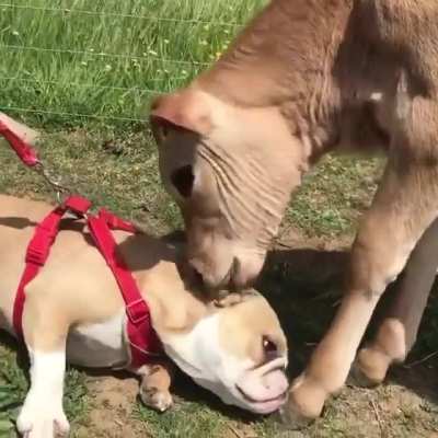 What&rsquo;s &ldquo;personal space&rdquo;?