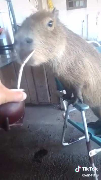 Mate is for everyone