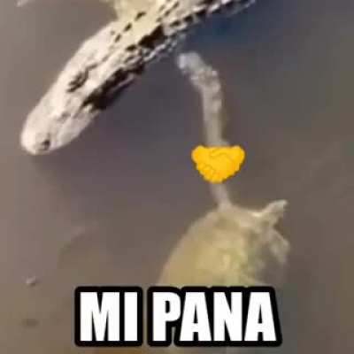 Mi pana 🤝