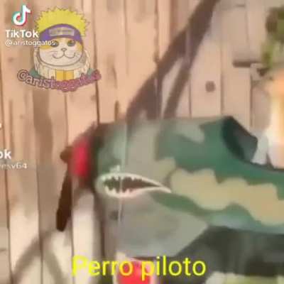 C mamo