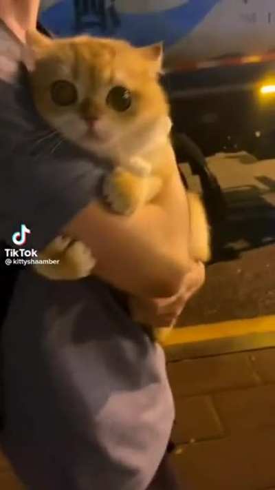 hug please im scared