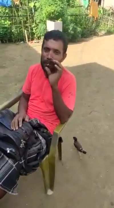 Smooth job