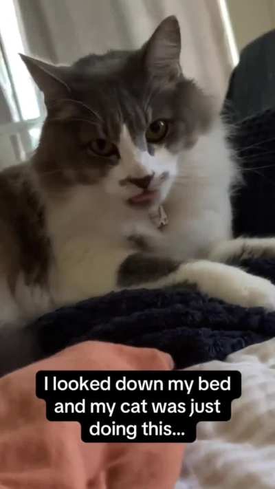 The way it KEPT going I can&rsquo;t 🐈🤣