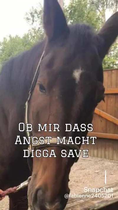 Reiten ist tief 🥺❤️❤️