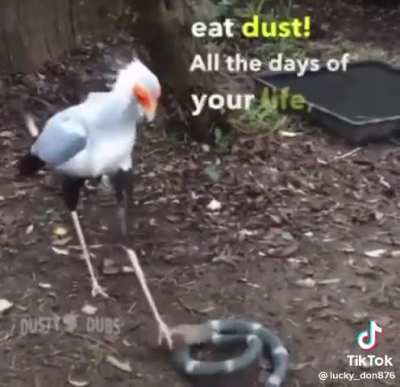 He was the original dirt dEVIL